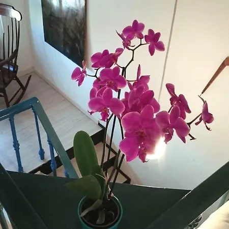 Mariangela Art Lodge